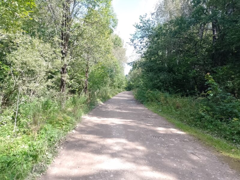 Автодорога (лыжероллеры) Н Горбово — Лызлово, состояние на 28 августа 2025 по отзыву, фото 14. Ближе к Н Горбово дорога шире, так как она еще ведет к аэродрому небольшому